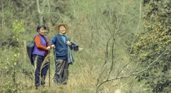 極推貓互聯網霸屏網路行銷_抖音行銷