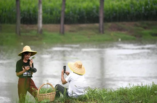 極推貓互聯網霸屏網路行銷_抖音行銷